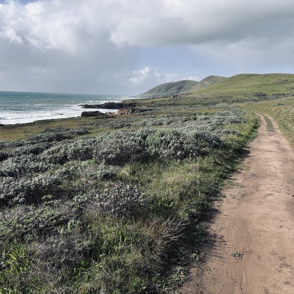 Harmony Headlands State Park - Reaching the coast with trail looking northward - Parks Near Me - Cayucos, California Harmony Headlands State Park - Reaching the coast with trail looking northward - Parks Near Me - Cayucos, California