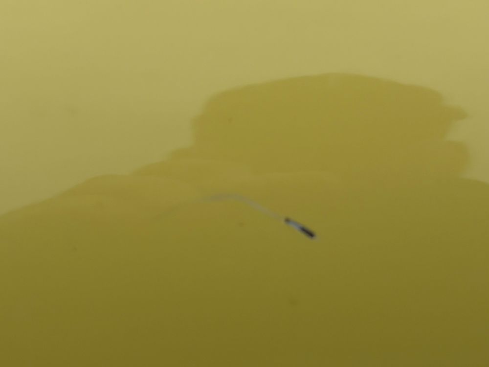 Ground Zero Enterprises - tree service in Wichita, KS