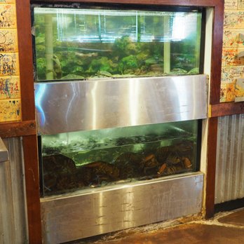 Angry Crab Shack - Cajun/Creole Near Me - Phoenix, Arizona Angry Crab Shack - Cajun/Creole Near Me - Phoenix, Arizona
