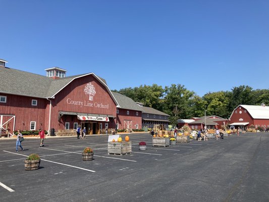 County Line Orchard by null