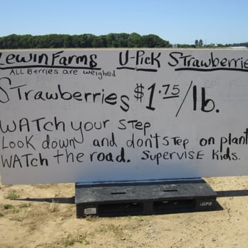 Lewin Farms - Pick Your Own Farms Near Me - Calverton, New York Lewin Farms - Pick Your Own Farms Near Me - Calverton, New York