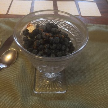 Acacia House - Fruit course with blueberries and yogurt - Hotels Near Me - Bar Harbor, Maine