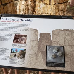 Florissant Fossil Beds National Monument - Info about the triplet petrified redwood
