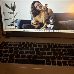 Website Website