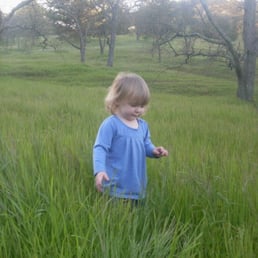 The undeveloped portion:  old oaks, green grass in the spring, cute girl