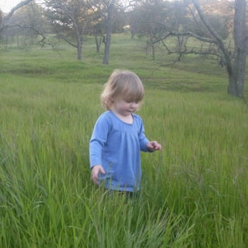 Paso Nogal Park - The undeveloped portion:  old oaks, green grass in the spring, cute girl - Dog Parks Near Me - Pleasant Hill, California
