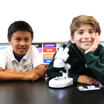 Del Mar Pines School - 6th Grade Science at Del Mar Pines School - Elementary Schools Near Me - San Diego, California Del Mar Pines School - 6th Grade Science at Del Mar Pines School - Elementary Schools Near Me - San Diego, California
