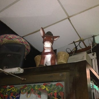 5 Burro Cafe - The burro that hangs out above the entrance to greet you. - Mexican Near Me - Forest Hills, New York