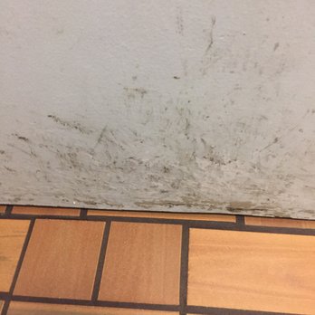 KFC - Filthy windows filthy area by soda machine filthy floors filthy bathrooms - Fast Food Near Me - King City, California