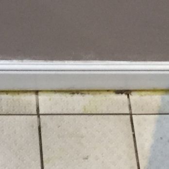 Hallmark Hotel Manchester - Moldy spa floor - Hotels Near Me - Wilmslow, ABE Hallmark Hotel Manchester - Moldy spa floor - Hotels Near Me - Wilmslow, ABE