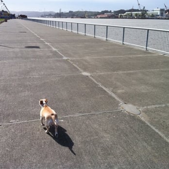 Vallejo Waterfront Park - Parks Near Me - Vallejo, California