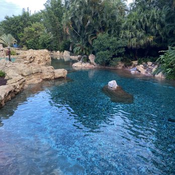 Discovery Cove - Amusement Parks Near Me - Orlando, Florida Discovery Cove - Amusement Parks Near Me - Orlando, Florida