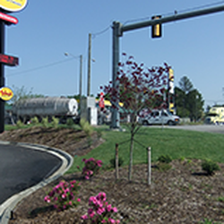 Avery Landscape & Irrigation