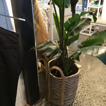 Superette Takapuna - Home Decor Near Me - Auckland, AUK