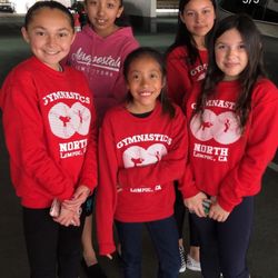 Gymnastics North