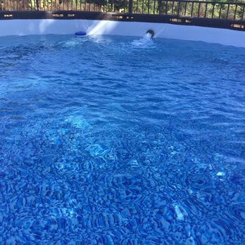 Best Life Pool Services - My pool after Stacy's weekly cleanings! - Pool Cleaners Near Me
