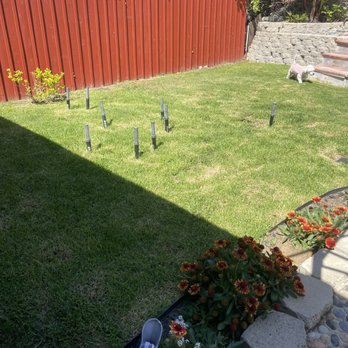 Pest Daddy - Gopher traps in my backyard! - Pest Control Near Me - Escondido, California Pest Daddy - Gopher traps in my backyard! - Pest Control Near Me - Escondido, California