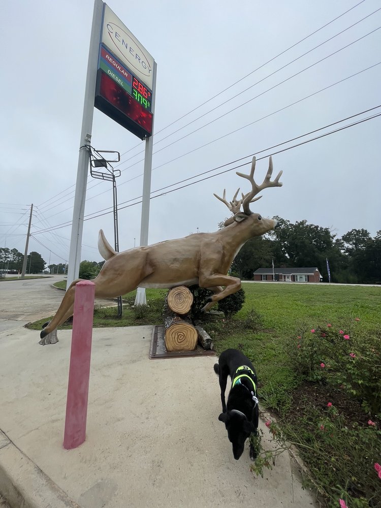 FLETCHERS OUTDOORS 15 Photos 13759 Brooklyn Rd, Andalusia, AL Yelp