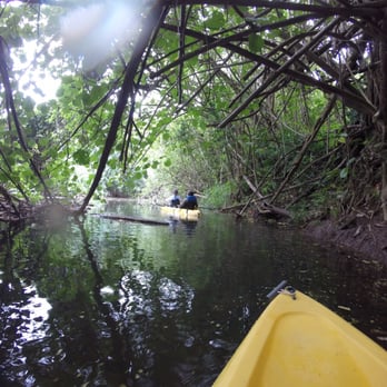 Ali'i Kayaks - Tours Near Me - Kapaa, Hawaii Ali'i Kayaks - Tours Near Me - Kapaa, Hawaii