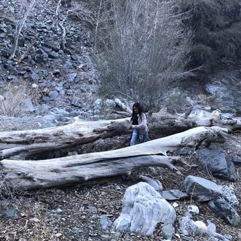 Angeles National Forest - My sissy enjoying - Parks Near Me - Arcadia, California Angeles National Forest - My sissy enjoying - Parks Near Me - Arcadia, California