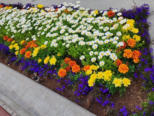 Golden Heart Plaza by null