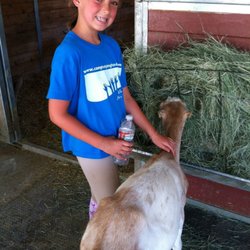 Camp Helping Hands - Campers always have fun at The Gentle Barn. They made carrot tote satchels at camp and brought them for donation.