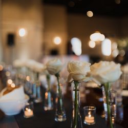 Bloom And Forage Farm - Single Rose Bud Vases Palm Event Center in the Vineyard