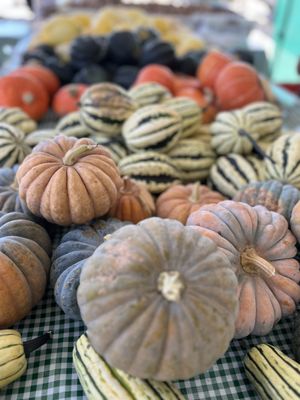 Visalia Farmers' Market by null