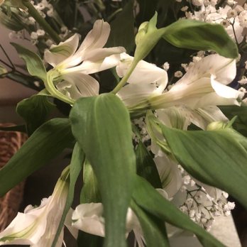 Miracle Flowers - Wilted flowers - Florists Near Me - Folsom, California Miracle Flowers - Wilted flowers - Florists Near Me - Folsom, California