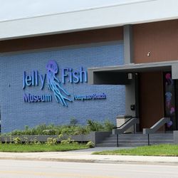 Jellyfish Museum