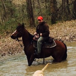 Summit Trail Rides