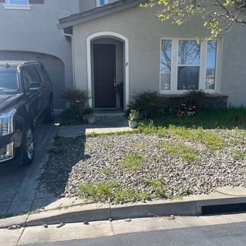 Alejandro’s Landscaping - Before - Landscaping Near Me Alejandro’s Landscaping - Before - Landscaping Near Me