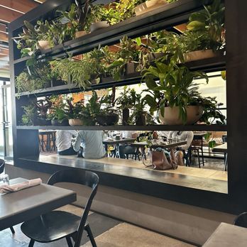 Five5eeds - my view - Coffee & Tea Near Me - Park City, Utah