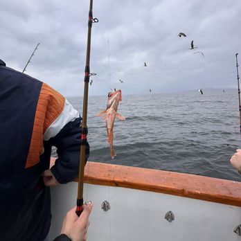 Channel Islands Sportfishing - Fishing Near Me - Oxnard, California Channel Islands Sportfishing - Fishing Near Me - Oxnard, California