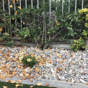 ProGreen Socal - ProLawn even replanted my flowers! - Artificial Turf Near Me - Murrieta, California