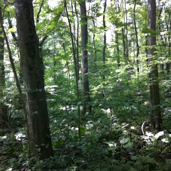 Closter Nature Center - Hiking Near Me - Closter, New Jersey