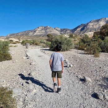 Turtlehead Peak - VIEWS - Hiking Near Me - Las Vegas, Nevada