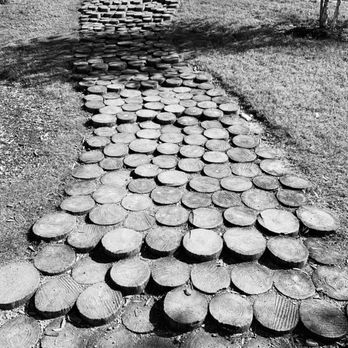 Evelyn's Park - It's not about the path, but the journey - Parks Near Me - Bellaire, Texas Evelyn's Park - It's not about the path, but the journey - Parks Near Me - Bellaire, Texas