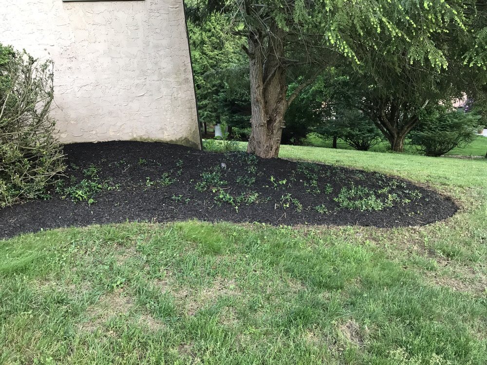TLC LANDSCAPE SERVICES Updated October 2024 15 Reviews Swarthmore