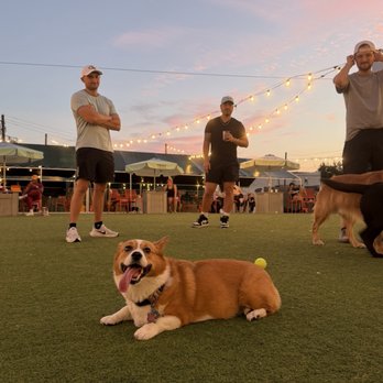 Fetch Park - Dog Parks Near Me - Atlanta, Georgia