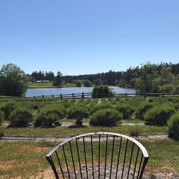 Pelindaba Lavender - Gift Shops Near Me - Friday Harbor, Washington