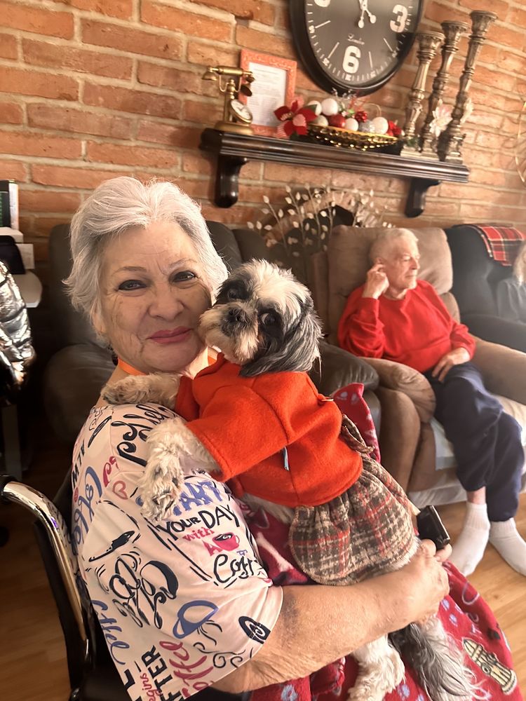 Abuelos At La Canada - home care agency in Tucson, AZ