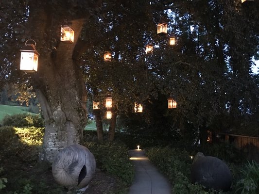 Restaurant Buech by null