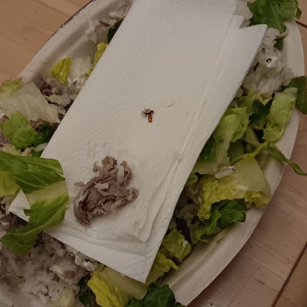 Chipotle Mexican Grill - Fast Food Near Me - Valencia, California Chipotle Mexican Grill - Fast Food Near Me - Valencia, California