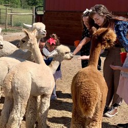 Cotton Creek Farms - Interactive tours