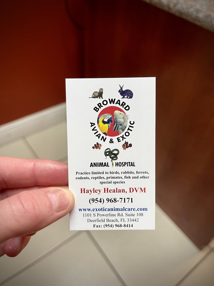 BROWARD AVIAN AND EXOTIC ANIMAL CLINIC Updated August 2024 43