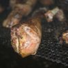 Bud's Southern Barbecue gift card
