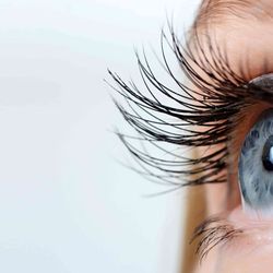 BC Eyefitters