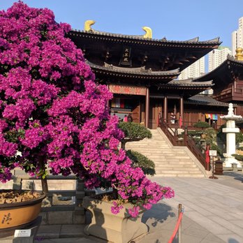 志蓮淨苑 - Buddhist Temples Near Me - Hong Kong, HK