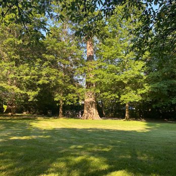 Stanley Park - Parks Near Me - Vancouver, British Columbia Stanley Park - Parks Near Me - Vancouver, British Columbia